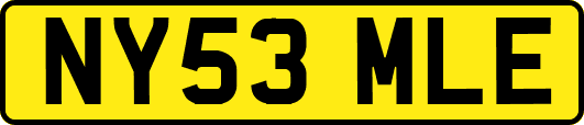 NY53MLE