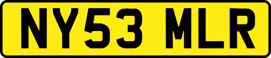 NY53MLR