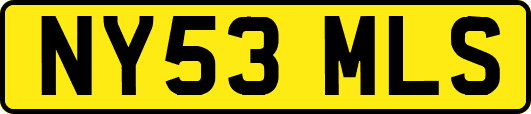 NY53MLS