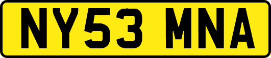 NY53MNA