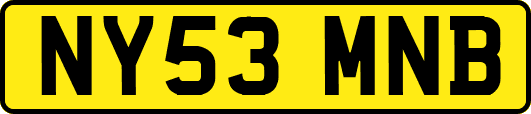 NY53MNB