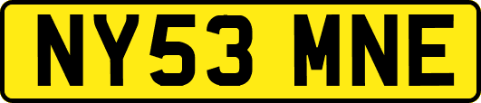NY53MNE