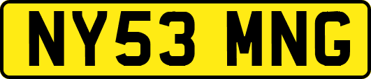 NY53MNG