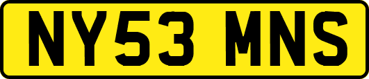 NY53MNS