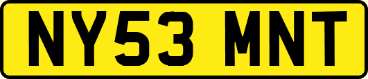NY53MNT