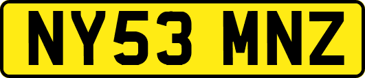 NY53MNZ