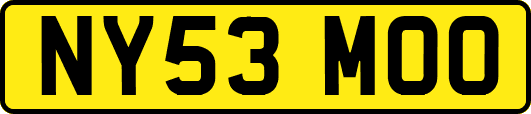 NY53MOO