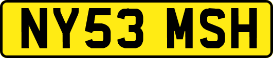 NY53MSH