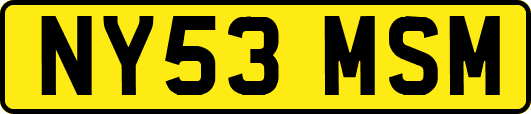 NY53MSM