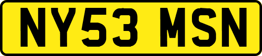 NY53MSN