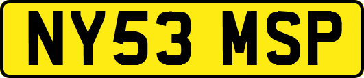 NY53MSP