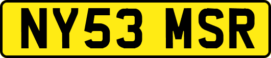 NY53MSR
