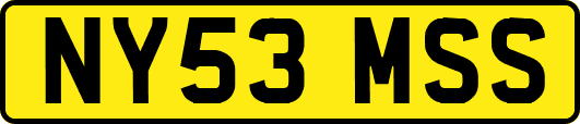 NY53MSS