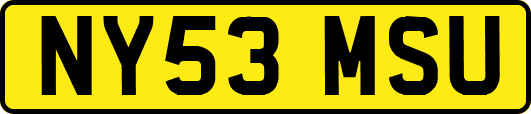NY53MSU