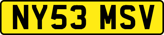 NY53MSV
