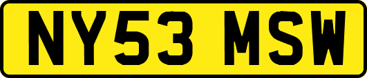 NY53MSW