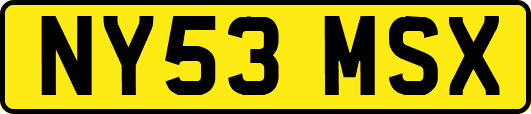 NY53MSX