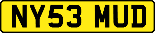 NY53MUD