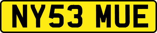 NY53MUE