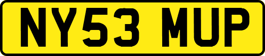 NY53MUP