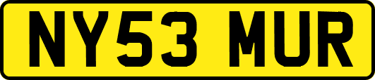NY53MUR