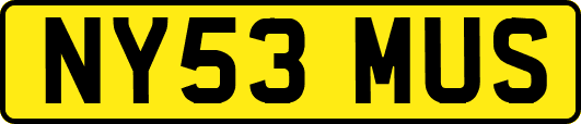 NY53MUS