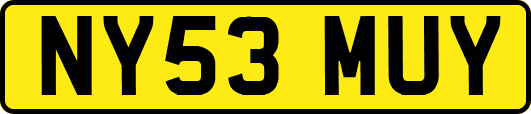 NY53MUY