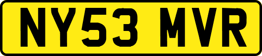 NY53MVR