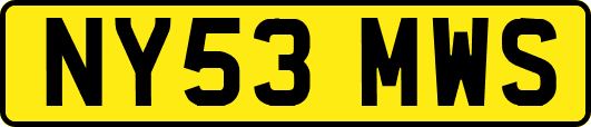 NY53MWS