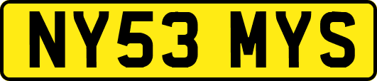 NY53MYS