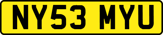NY53MYU