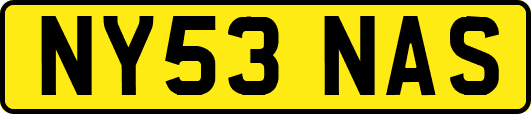 NY53NAS
