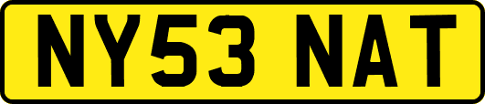 NY53NAT