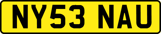 NY53NAU