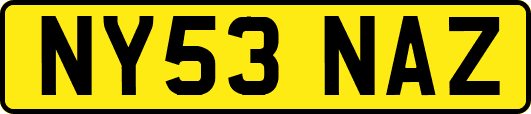 NY53NAZ