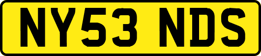 NY53NDS