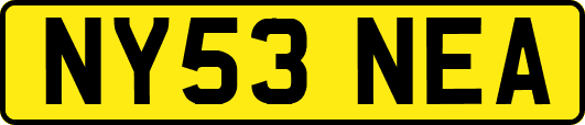 NY53NEA