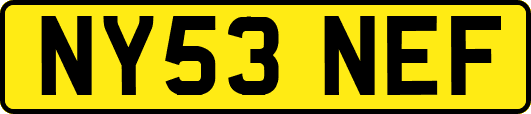 NY53NEF