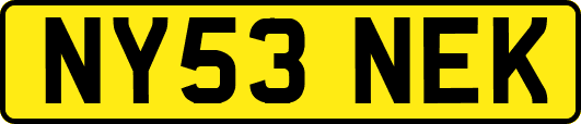 NY53NEK