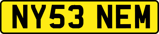 NY53NEM