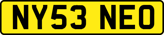 NY53NEO