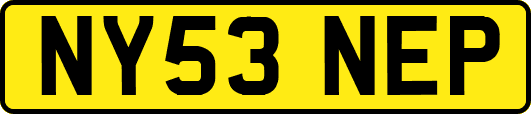 NY53NEP