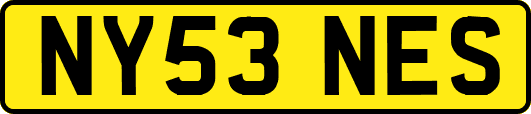 NY53NES