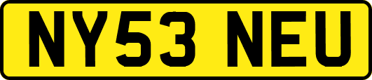 NY53NEU
