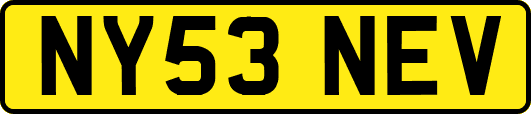 NY53NEV