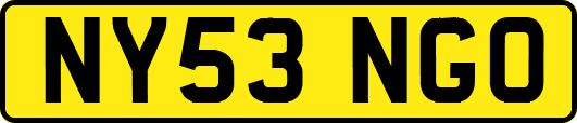 NY53NGO