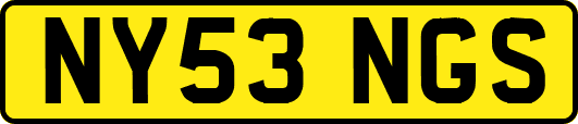 NY53NGS