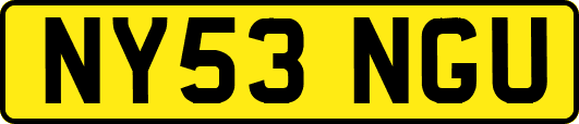 NY53NGU