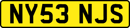 NY53NJS
