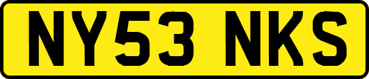 NY53NKS